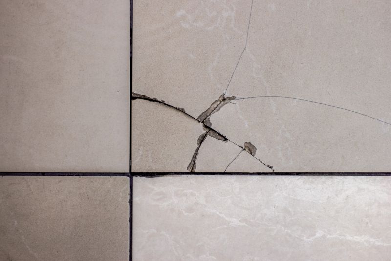 Damaged Tile Replacement detail
